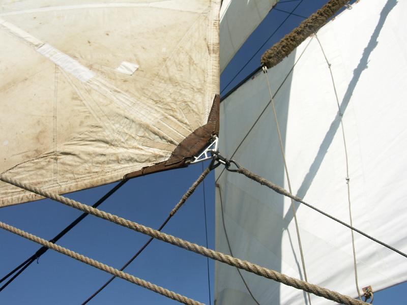 080508_Roald_Amundsen 267.jpg